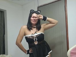 ShutangEnamerzx