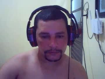 pinguim2486